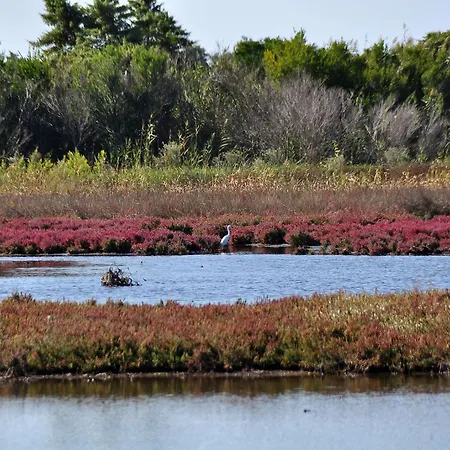 Il Vicolo * Ágios Matthaíos